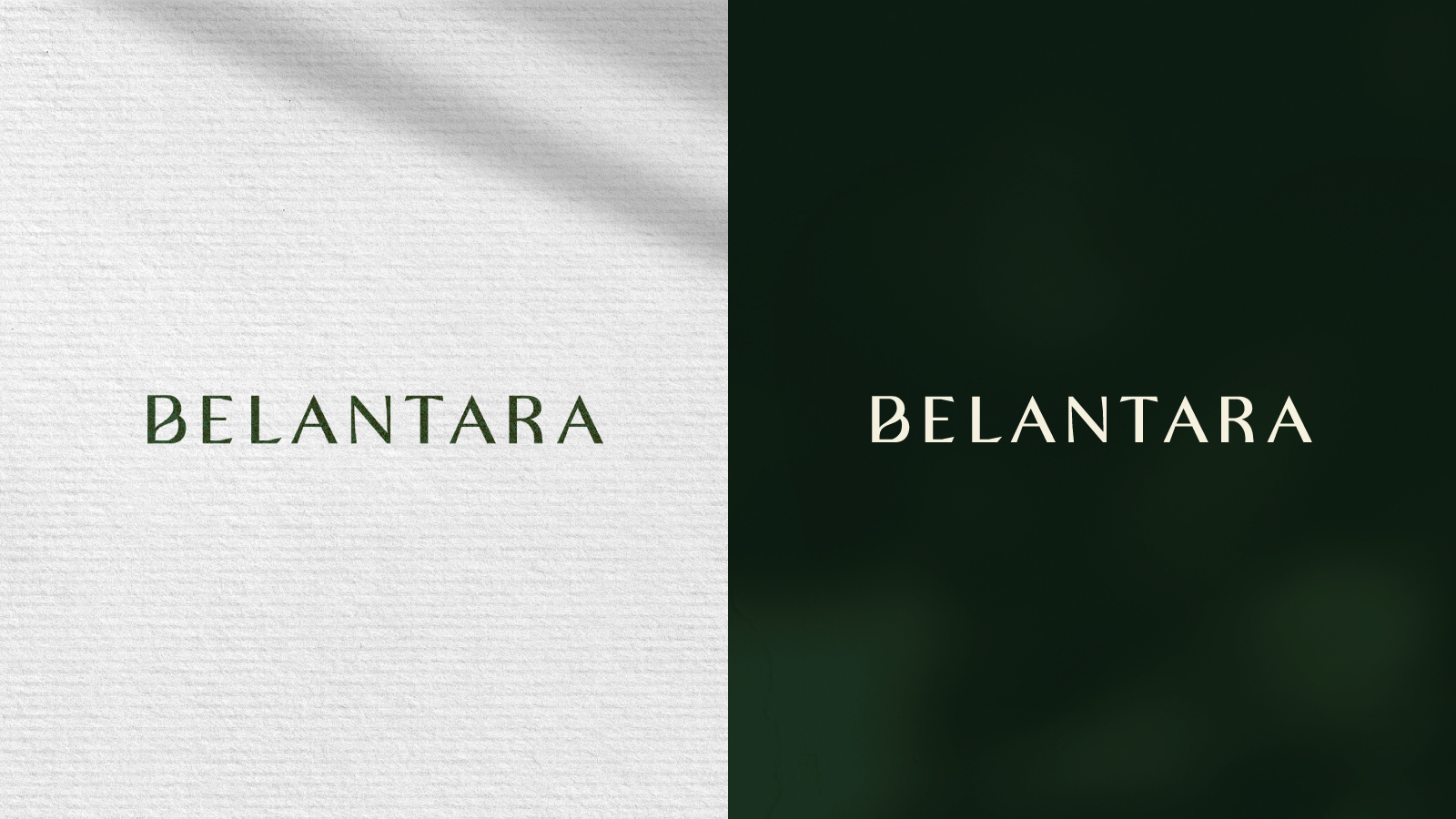 Belantara-Indigo-Submission-202456